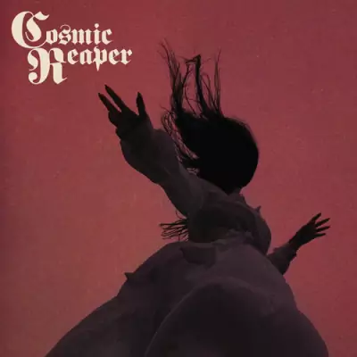 Cosmic Reaper - Bleed The Wicked Drown The Damned MP3 320kbps mega rapidgator