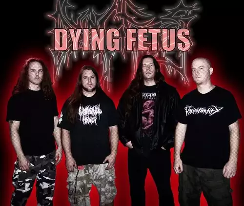 Dying Fetus Discography MEGA